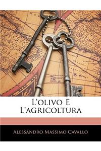 L'Olivo E L'Agricoltura