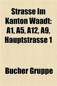 Strasse Im Kanton Waadt