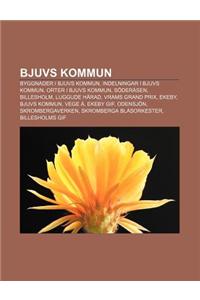 Bjuvs Kommun