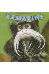 Tamarins