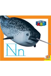 NN