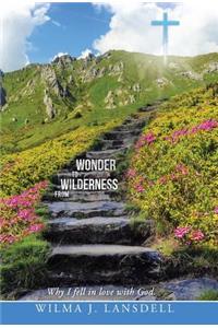 From Wilderness to Wonder