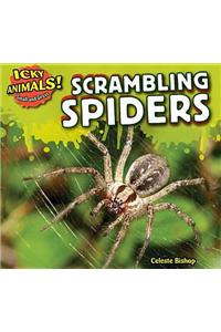 Scrambling Spiders