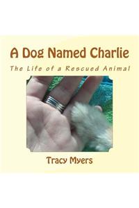 Dog Named Charlie: The life of a rescued dog.