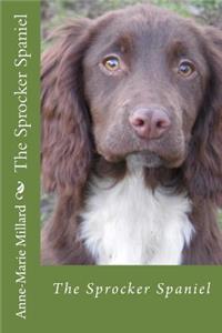 Sprocker Spaniel - extended edition