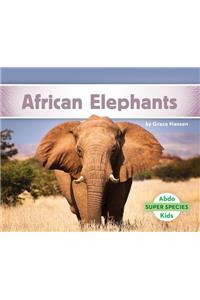 African Elephants