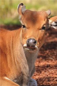 The Banteng Journal: 150 Page Lined Notebook/Diary