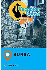 Vacation Goose Travel Guide Bursa Turkey