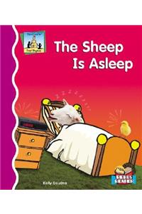 The Sheep Is Asleep