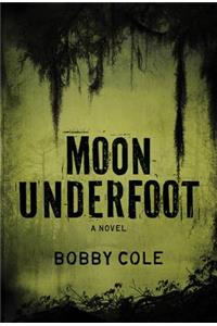 Moon Underfoot