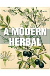 Modern Herbal Vol 2