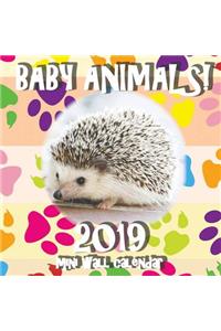 Baby Animals! 2019 Mini Wall Calendar