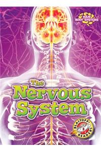 The Nervous System