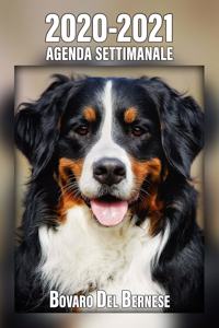 2020-2021 Agenda Settimanale Bovaro Del Bernese: 221 Pagine - Dimensioni DIN A5 - Pianificatore - 24 Mesi - Due Pagine Per Settimana - Calendario - Diario - Cane - In Italiano