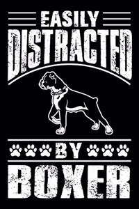 Easily Distracted By Boxer