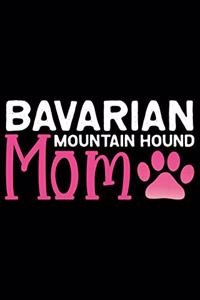 Bavarian Mountain Hound Mom