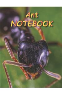 Ant NOTEBOOK