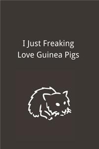 I Just Freaking Love Guinea Pigs