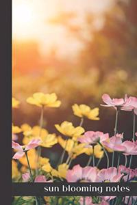 sun blooming notes