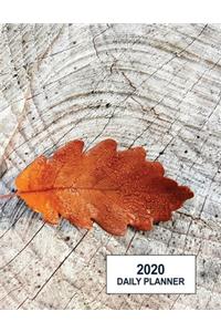 Low Vision 2020 Daily Planner