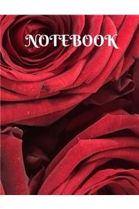 Deep Red Rose Blank Lined Notebook With Premium Quality Pages
