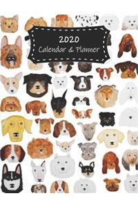 2020 Calendar & Planner
