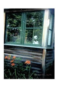 Dalmatian cabin creative blank journal