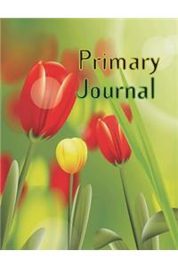 Primary Journal