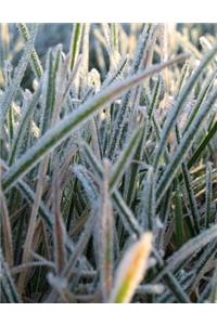 Frost Frosty Snowman Snow Icicle Frozen Ice Block Iceberg Alaska Greenland