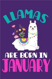 Llamas Are Born in January