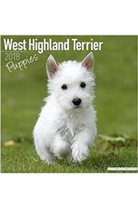 West Highland White Terrier Puppies Calendar 2018