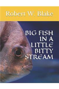 Big Fish in a Little Bitty Stream