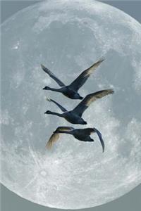 Swans In The Moonlight Notebook