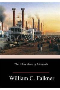 White Rose of Memphis