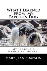 What I Learned from My Papillon Dog