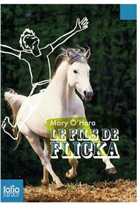 Fils de Flicka