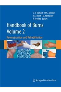 Handbook of Burns, Volume 2