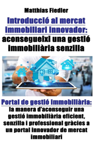 Introduccio al mercat immobiliari innovador