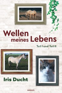 Wellen meines Lebens