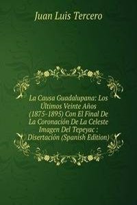 La Causa Guadalupana: Los Ultimos Veinte Anos (1875-1895) Con El Final De La Coronacion De La Celeste Imagen Del Tepeyac : Disertacion (Spanish Edition)