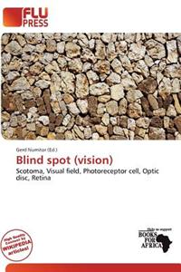 Blind Spot (Vision)