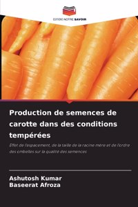 Production de semences de carotte dans des conditions tempérées