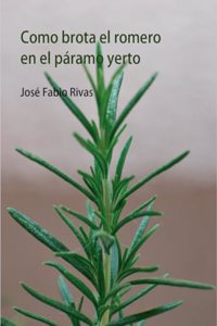 Como brota el romero en el paramo yerto