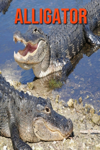 Alligator
