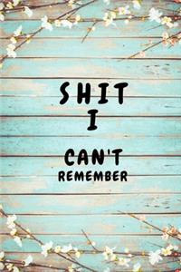 Shit I Can't Remember