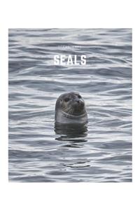Seals
