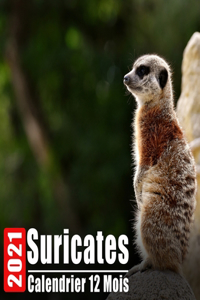 Calendrier 2021 Suricates