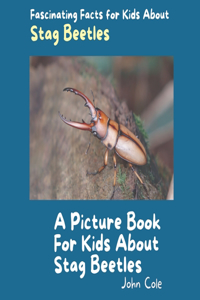 Picture Book for Kids About Stag Beetles