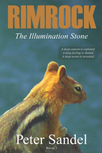 Illumination Stone