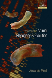 Perspectives in Animal Phylogeny and Evolution